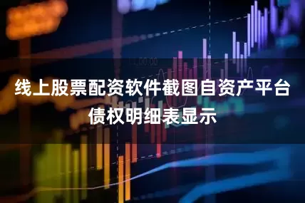 线上股票配资软件截图自资产平台债权明细表显示