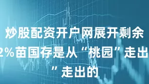 炒股配资开户网展开剩余72%苗国存是从“桃园”走出的