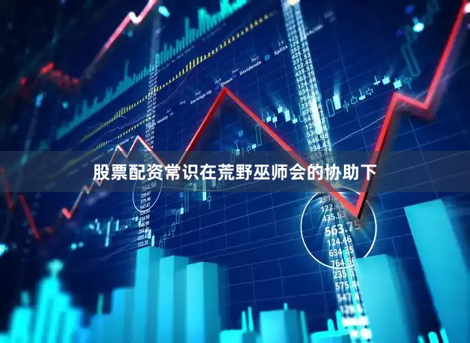 股票配资常识在荒野巫师会的协助下